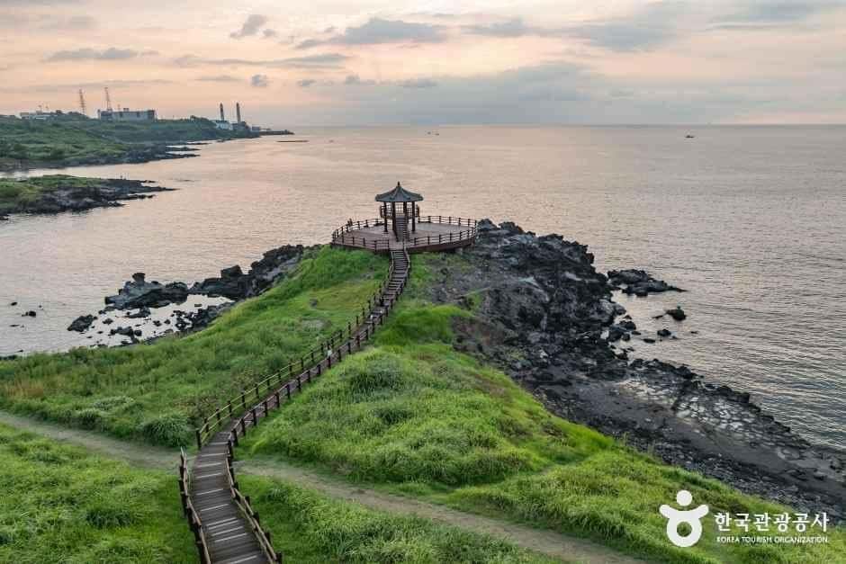 닭머르해안길 — 반려동물 동반 관광지