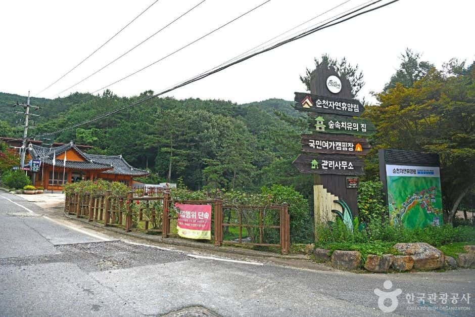 순천자연휴양림 — 반려동물 동반 관광지