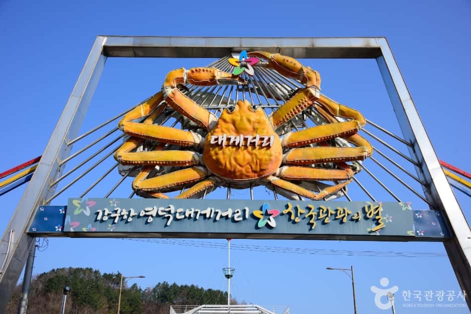 강구항 대게거리 — 반려동물 동반 관광지