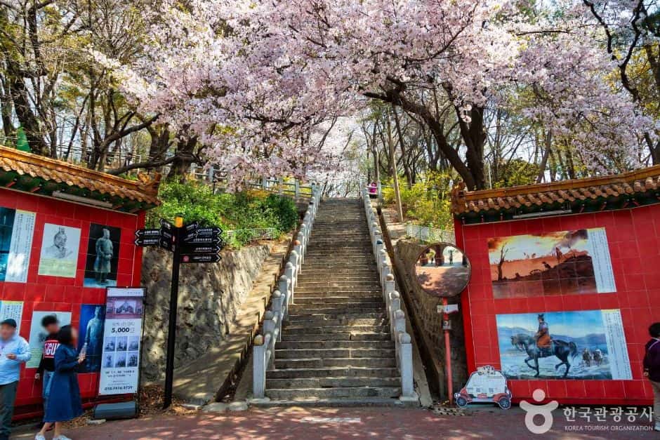 삼국지 벽화거리 — 반려동물 동반 관광지