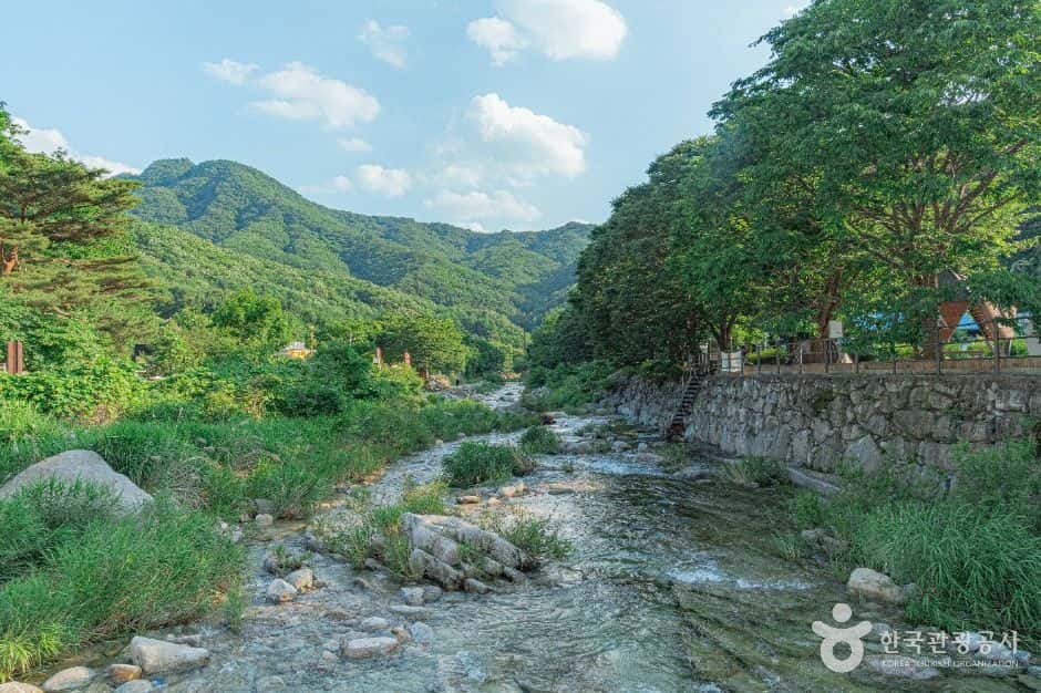 백운계곡 (한탄강 유네스코 세계지질공원) — 반려동물 동반 관광지