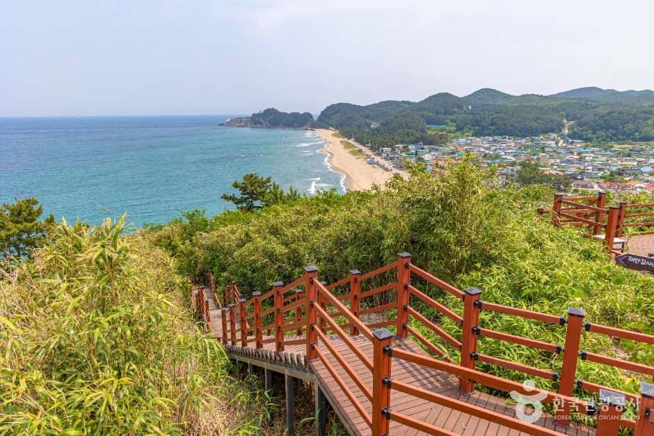 덕봉산 해안생태탐방로 — 반려동물 동반 레포츠