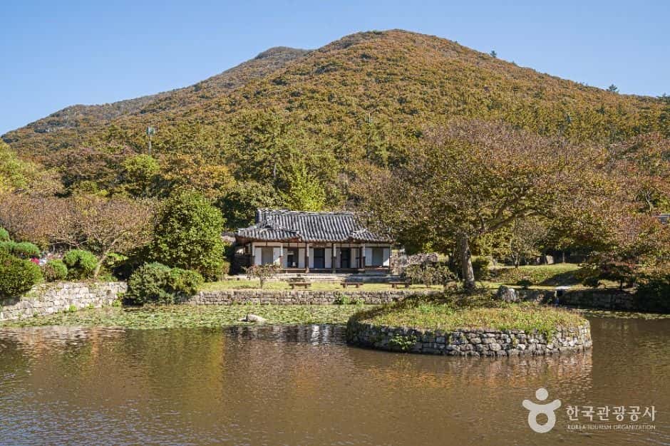 진도 운림산방 — 반려동물 동반 관광지