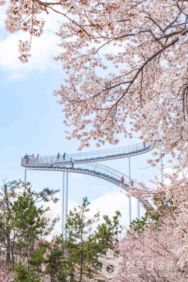 환호공원 — 반려동물 동반 관광지