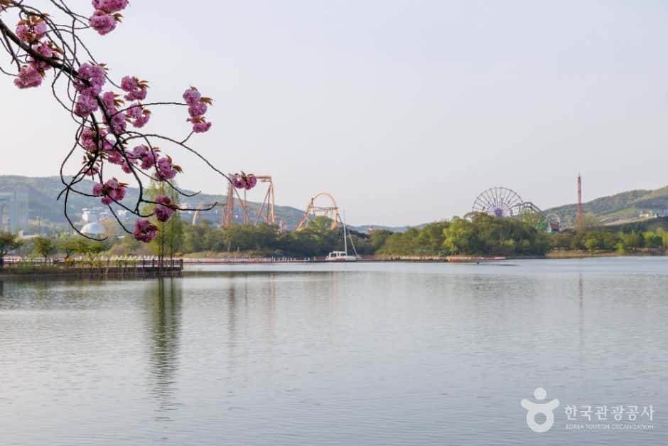 보문호 — 반려동물 동반 관광지