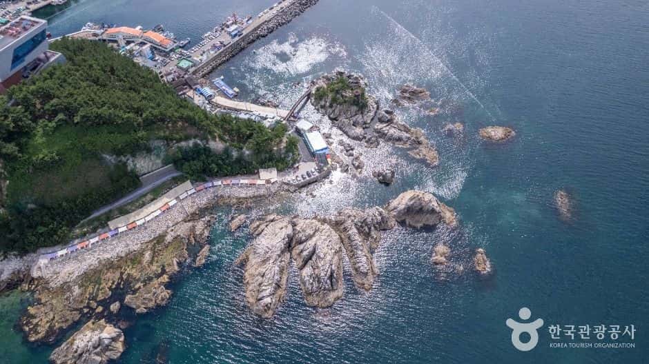 장호해변·장호항 — 반려동물 동반 관광지