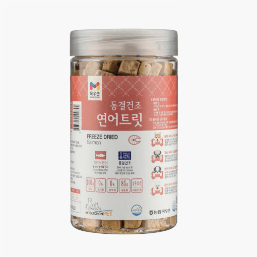 고양이 간식 관련 제품 추천 | 비마이펫