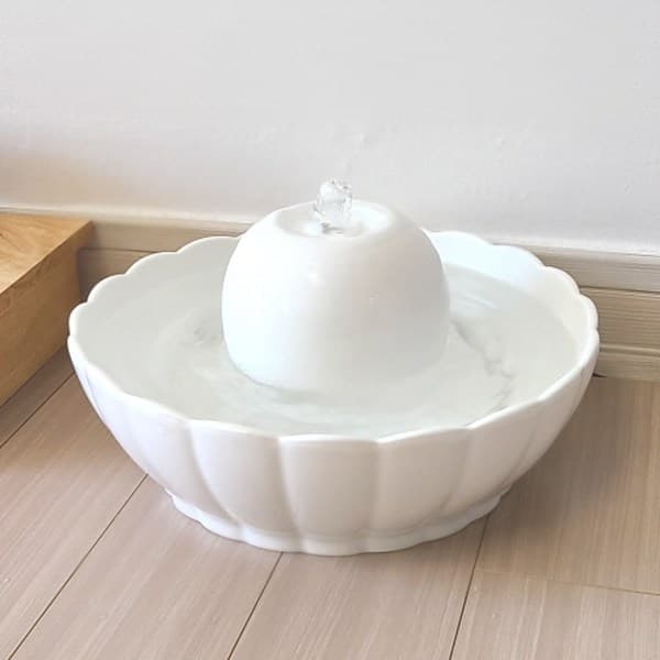 고양이 식기 관련 제품 추천 | 비마이펫