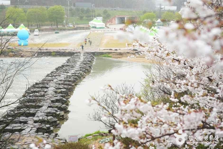진천 농다리