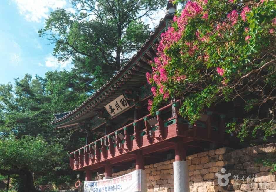 작괘천(작천정계곡)