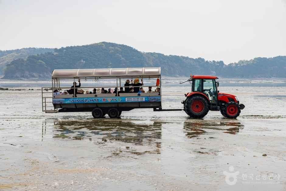 선재도(선재도 어촌체험마을)