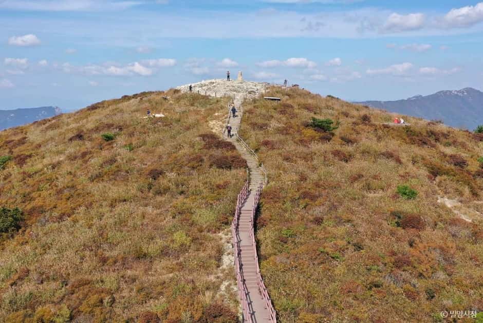 천황산 — 반려동물 동반 관광지