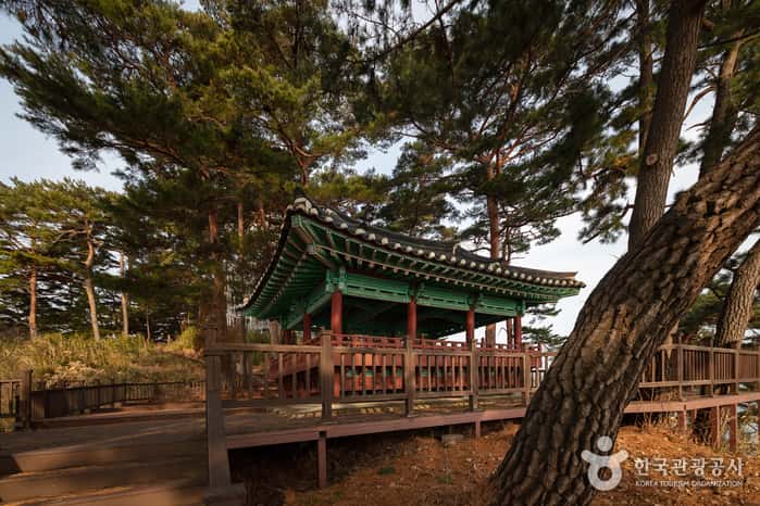 죽도정·죽도 전망대 — 반려동물 동반 관광지