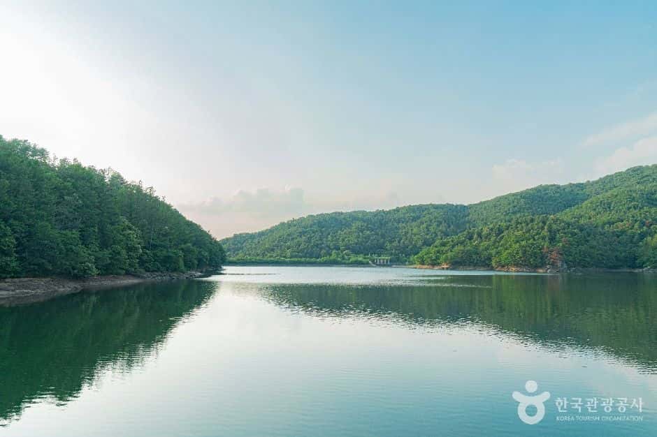 청계호수 — 반려동물 동반 관광지