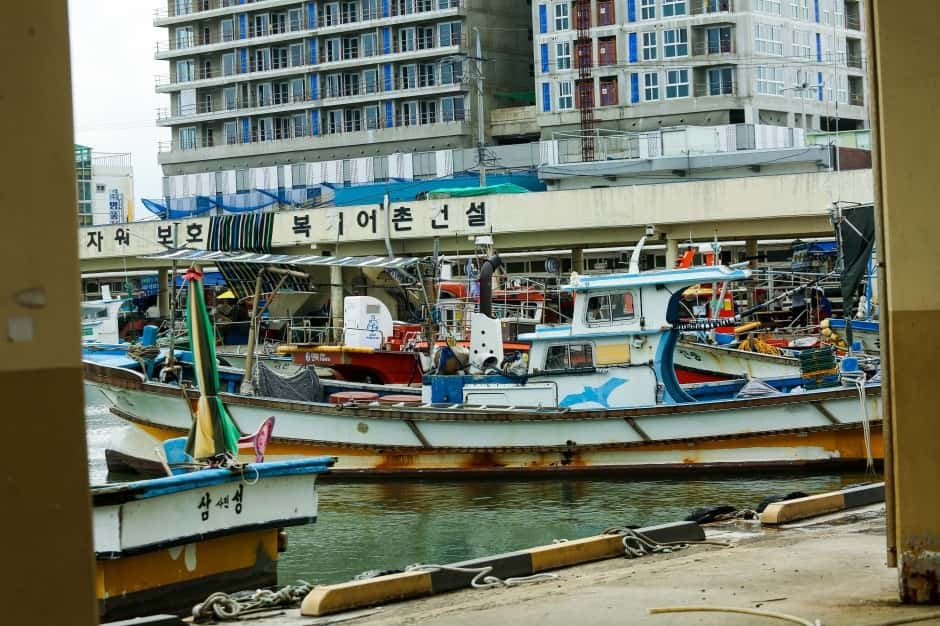 사천진항 — 반려동물 동반 관광지
