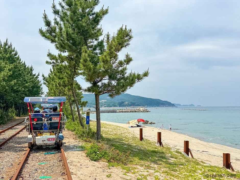 삼척 해양레일바이크