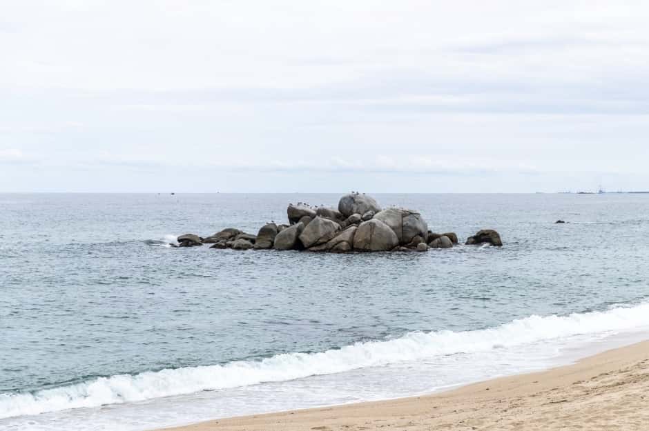 사천해변(사천해수욕장) — 반려동물 동반 관광지