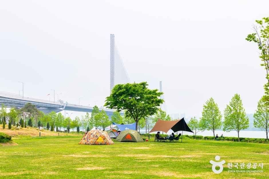 구리한강시민공원(코스모스공원)