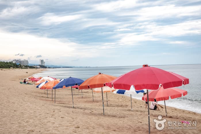 송정해변