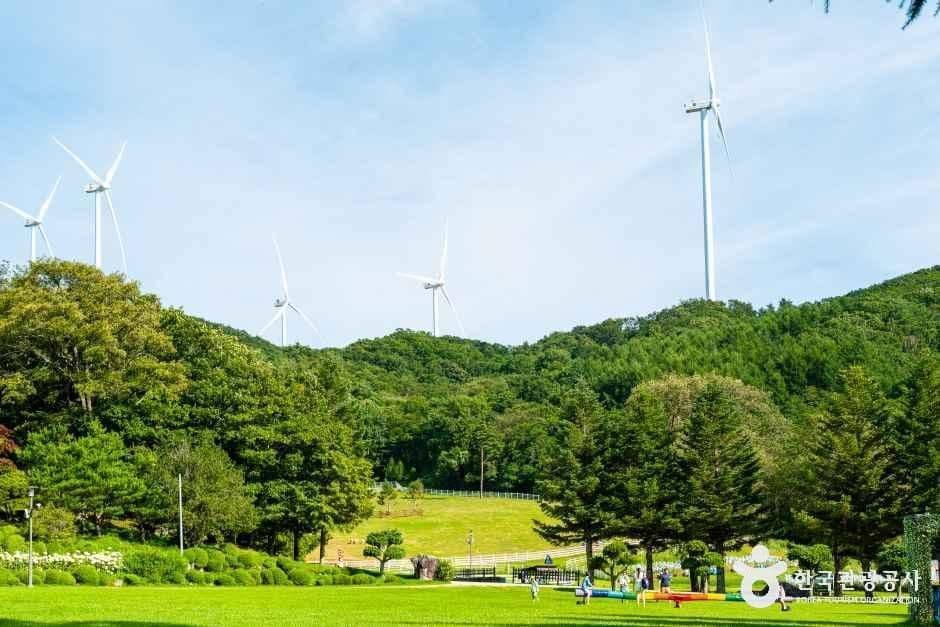 대관령 하늘목장