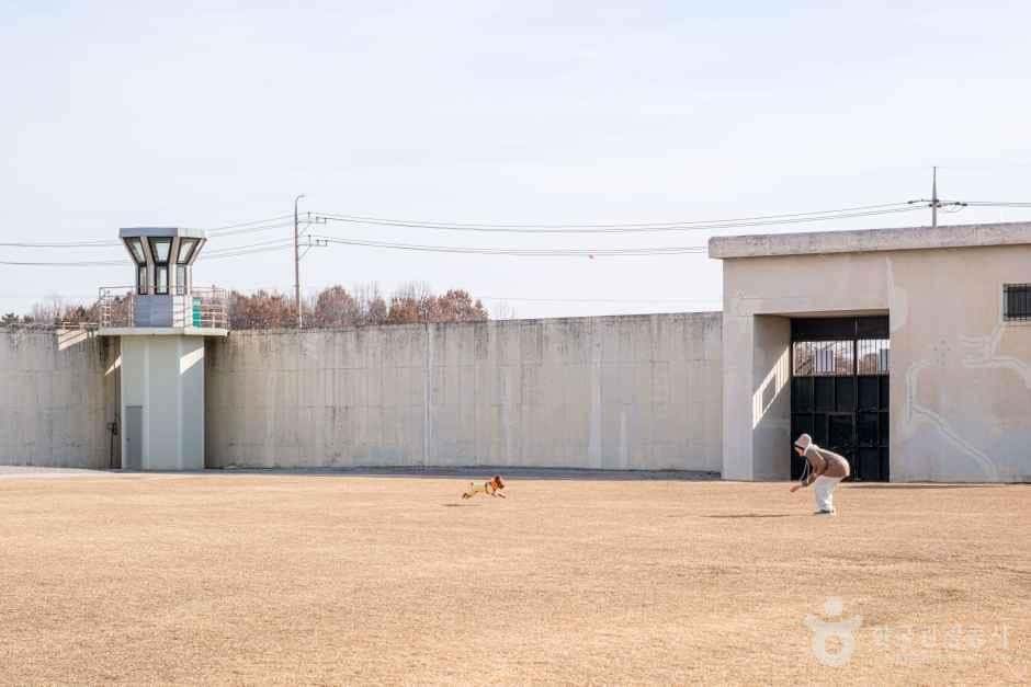 익산교도소세트장 — 반려동물 동반 관광지