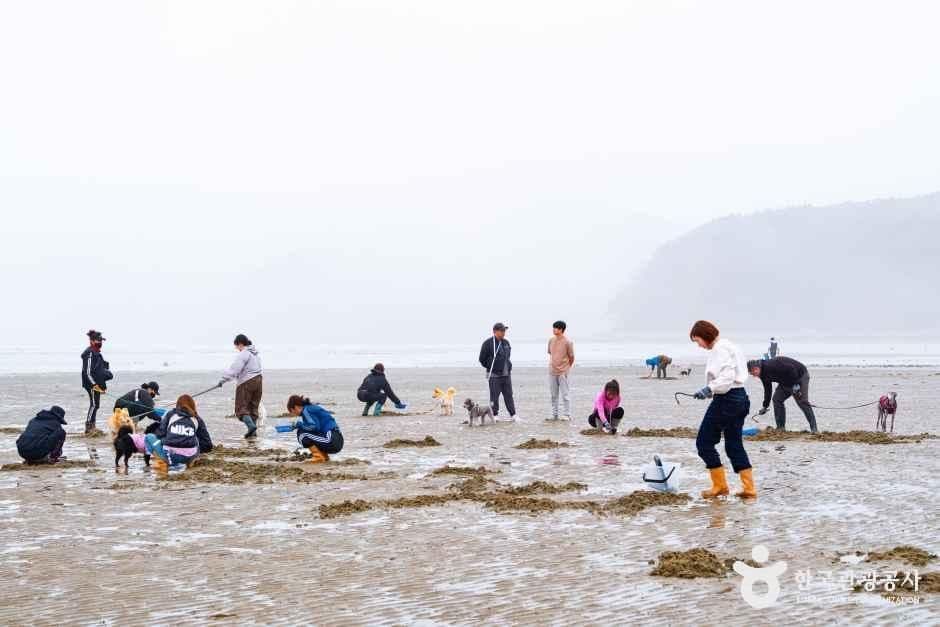 병술만어촌체험마을