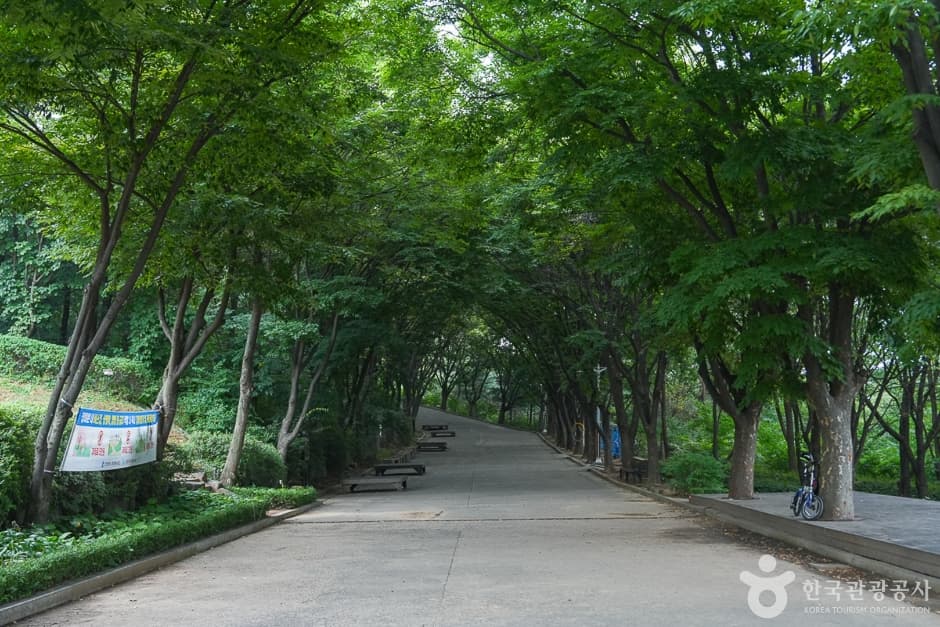 계양산 둘레길