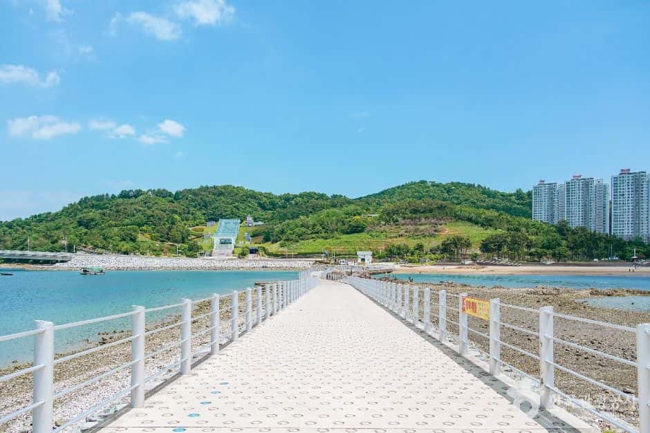예술의 섬 장도 — 반려동물 동반 관광지