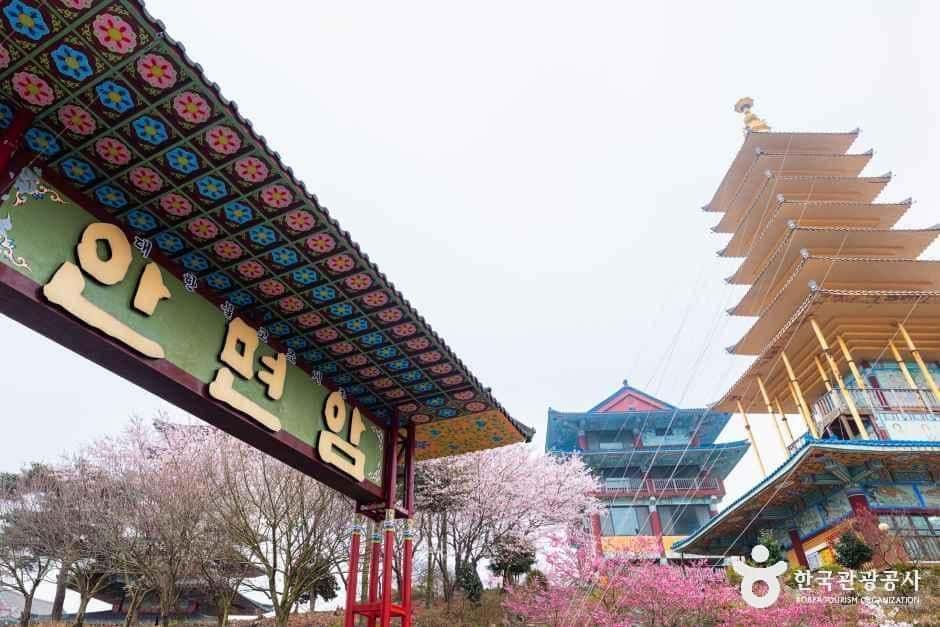 안면암(태안) — 반려동물 동반 관광지