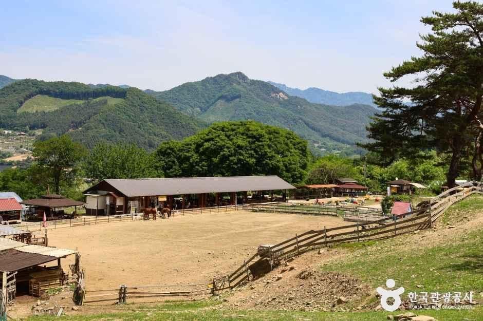 해피초원목장