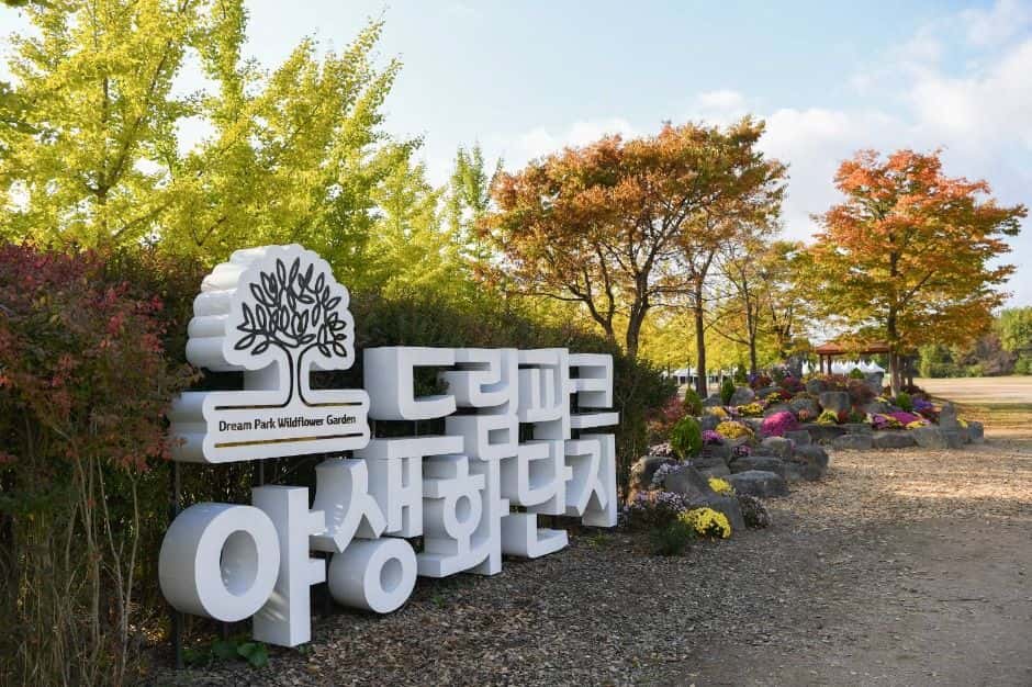 수도권매립지 드림파크 야생화단지 — 반려동물 동반 관광지